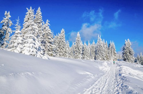 Winterwandern in Flachau, Ski amadé